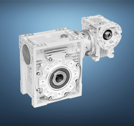 Double worm gear reducer
