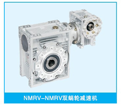 Double worm gear reducer
